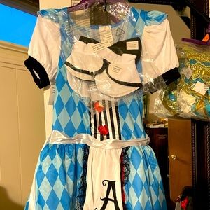 Womens Alice in wonderland costume